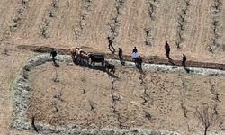 Nevşehir'de büyükbaş hayvan hırsızlığı yaptıkları iddiasıyla 2 şüpheli yakalandı