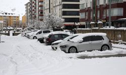 Bitlis'te kar nedeniyle 80 köy yolu ulaşıma kapandı