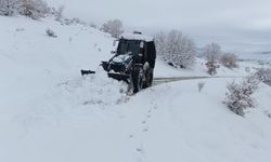 Elazığ'da kar nedeniyle 293 yerleşim yerine ulaşım sağlanamıyor