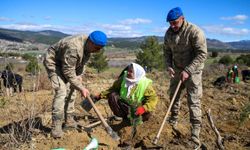 Aydın, Denizli ve Uşak'ta yaklaşık 21 bin 300 fidan toprakla buluştu