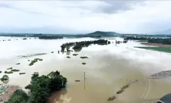 Avustralya'nın Queensland eyaletinde tropikal siklon yaklaşık 240 bin ev ve iş yerini elektriksiz bıraktı