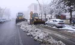 Bingöl ve Şırnak'ta kar nedeniyle 131 yerleşim yerine ulaşım sağlanamıyor