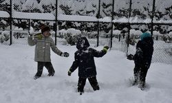 Ordu'nun bazı ilçelerinde yarın eğitime ara verildi