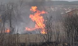 Tavşanlı’da arazide çıkan yangın bahçe evlerine ulaşmadan söndürüldü