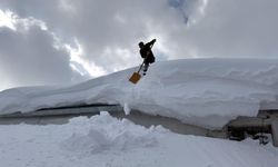 Ağrı, Ardahan, Tunceli ile Kars'ta kar ve soğuk hava etkili oldu