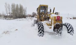 Kayseri'de kar nedeniyle kapanan 203 mahalle yolu ulaşıma açıldı