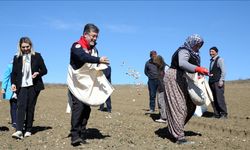 Tarım ve Orman Bakanı Yumaklı, Kastamonu'da sarımsak ekimine katıldı