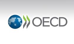 OECD: Küresel borç piyasaları zorlu bir görünümle karşı karşıya