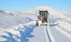 Ardahan'da dondurucu soğukların etkisi sürüyor