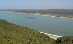 Arnavutköy'de ormanlık alanda çıkan yangın söndürüldü