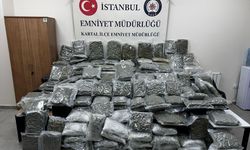 İstanbul'da petshopa düzenlenen uyuşturucu operasyonda 4 şüpheli yakalandı