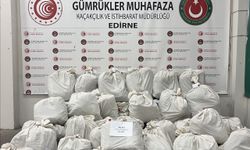 Kapıkule'de tırda 492 kilogram uyuşturucu ele geçirildi