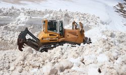 Ağrı'da kışın kullanılmayan köy ve mezra yolları ulaşıma açıldı