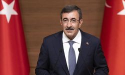 Cumhurbaşkanı Yardımcısı Yılmaz'dan, Kamışlı'daki konferansa tepki