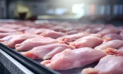 Erzincan'da işlenen tavuk eti ihraç edilerek ülke ekonomisine katkı sağlıyor