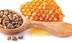 Propolis Tüketmek Sağlığa Faydalarıyla Öne Çıkıyor