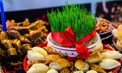 Akademisyen Prof. Dr. Seyit Aydın öneride bulunmuştu: Nevruz Bayramı Türk Dünyasında Ortak Milli Bayram oldu