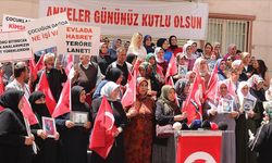 Diyarbakır anneleri "Anneler Günü"nde de evlat nöbetinde