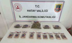 Hatay’da 450 gümrük kaçağı kuru sıkı tabanca ve uyuşturucu ele geçirildi