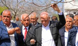 TZOB Genel Başkanı Bayraktar: "65 ilimizde meyve bahçelerimiz don felaketinden etkilendi"