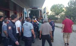 Sulama kanalı düşen çocuğu annesi kurtardı