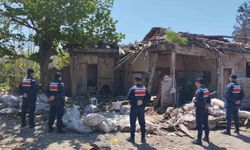 Kaçak kazı Roma mozağini ortaya çıkarttı