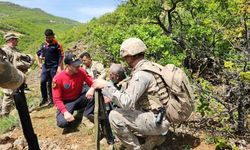 Tunceli’de kaybolan yaşlı adam jandarma tarafından bulundu