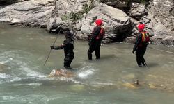 Hakkari’de derede kaybolan 16 yaşındaki İbrahim’i arama çalışmaları devam ediyor