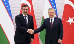 Cumhurbaşkanı Yardımcısı Yılmaz, Özbekistan Cumhurbaşkanı Mirziyoyev ile görüştü