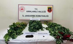 Kırklareli’nde uyuşturucu operasyonu: 8 gözaltı