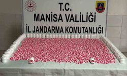 Ormanlık alanda saklanan uyuşturucuları jandarma buldu