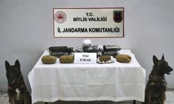 Dere kenarına gizlenmiş esrarı dedektör köpek buldu