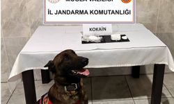 Yatağan’da yolcu otobüsünde 290 gram kokain yakalandı