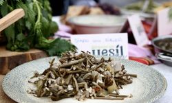 Giresun'un lezzetleri gastronomi festivalinde tanıtıldı