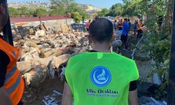 Ülkü Ocakları’ndan Vekaletle Kurban Kesim Kampanyası