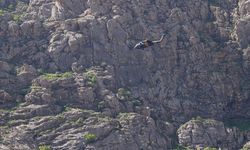 Hakkari'de kaybolduğu dağda yaralı bulunan kişi, helikopterle hastaneye ulaştırıldı