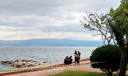 Kocaeli'de şiddetli rüzgarda devrilen çınar ağacı kafede hasara yol açtı