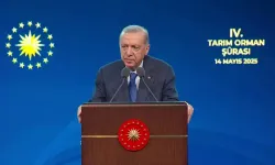 Cumhurbaşkanı Erdoğan: Üretim planlamasıyla uyumlu bir şekilde yeni bir destekleme modelimizi de devreye aldık