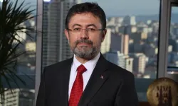 Aydın Çam Fıstığı AB’den Coğrafi İşaret Tescili Aldı