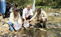 Kocaeli'de dereye 8 bin kırmızı benekli alabalık yavrusu bırakıldı