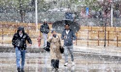 Erzurum'a mayısın ortasında lapa lapa kar yağdı