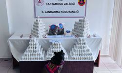 Kastamonu'da uyuşturucu operasyonunda 1 şüpheli tutuklandı