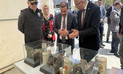 Ardahan'da "Dünya Arı Günü" etkinliği düzenlendi