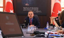Muğla'da sokak hayvanları ve yaban domuzlarına karşı önlemler artırılacak
