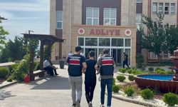 Motosikletin arkasına bağladığı köpeği metrelerce sürükledi