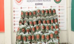 Kapıkule'de 382 kilogram esrar ele geçirildi