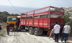 Bodrum'da beton mikseri ile kamyonetin arasında sıkışan kişi öldü