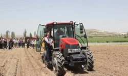 Nevşehir'de karantina altındaki bölgelere dayanıklı patates tohumu ekimi yapıldı