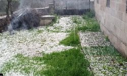 Ardahan'da dolu ve sağanak etkili oldu