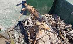 Bodrum'da deniz dibinden 50 ton atık toplandı